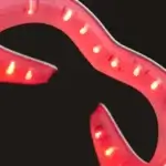 Mascarilla LED CurrentBody Skin LED Eye Perfector